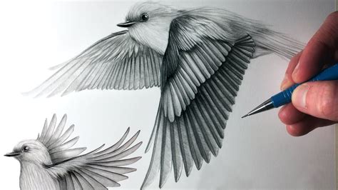 Flying Bird Drawing At Getdrawings Free Download