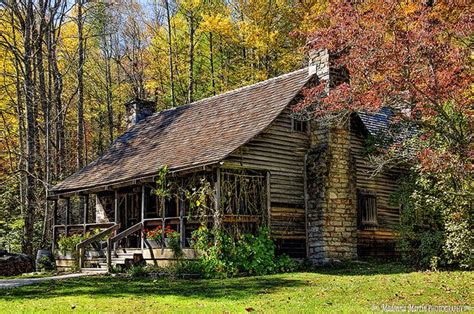 Cabin Surrounded By Fall Colors Cottage In The Woods Houses In The