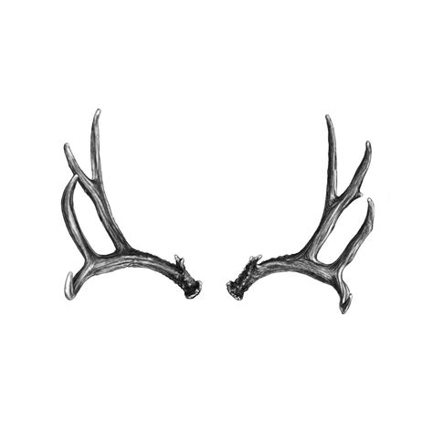 Deer Antlers Drawing By Artist John Gordon 2015 Charcoal Antlers