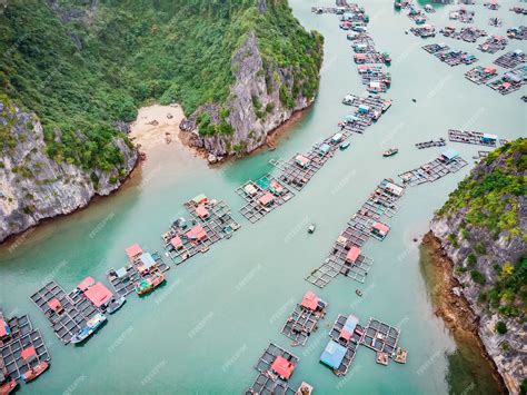 Premium Photo Aerial View Of Floating Villages Around Cat Ba Islands
