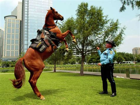New Faces On Hpds Mounted Patrol