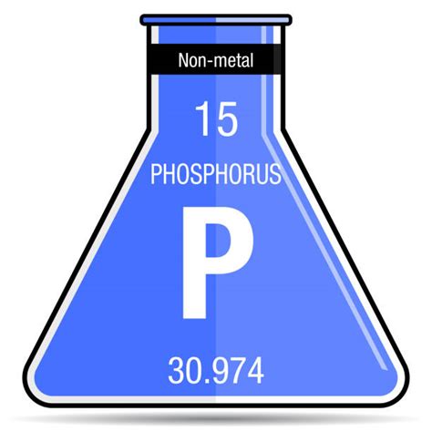 Periodic Table Phosphorus Illustrations Royalty Free Vector Graphics