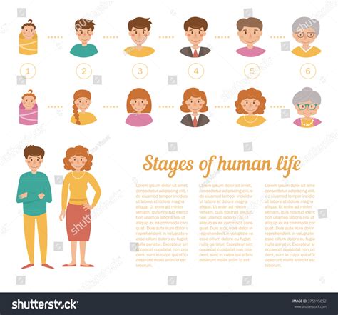 Stages Human Life Different Ages Man Stock Vector Royalty