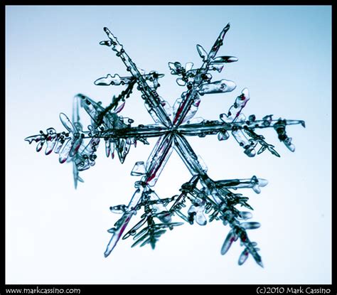 More December Snowflake Photographs