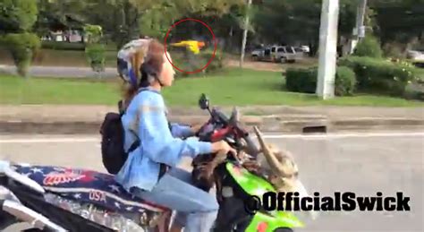 Pet Parrot Flies Alongside Owner On Motorbike Video Huffpost Uk