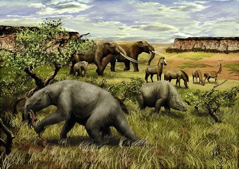 Top 123 Pleistocene Animals Of North America