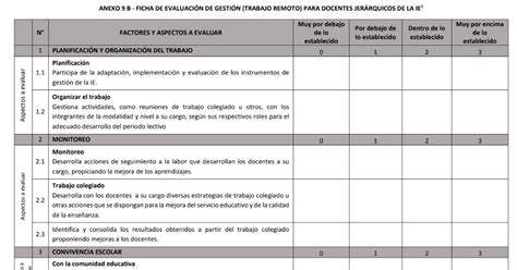 Fichas De Evaluación De Desempeño Para Encargatura De Directores