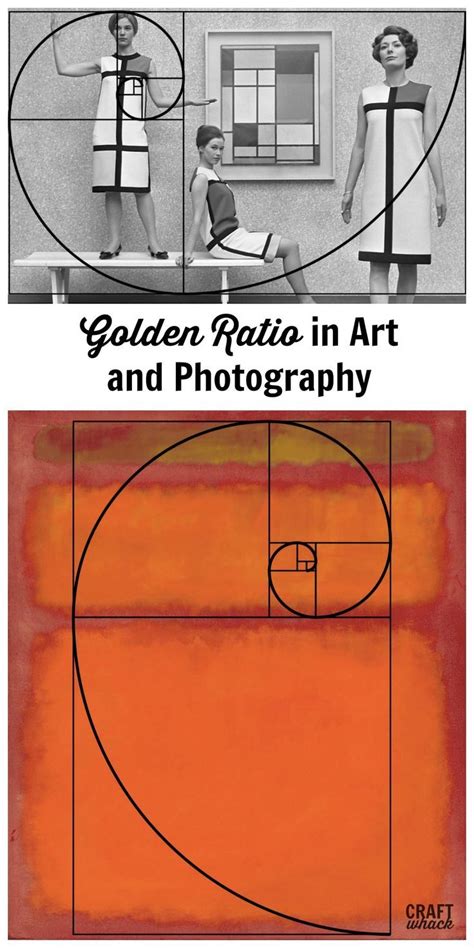 Learn About The Golden Ratio In Photography And Art Goldenratio