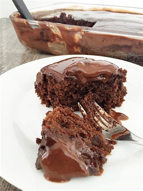 Easy One Pan Chocolate Crazy Cake Mommy Moment