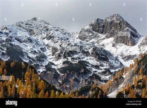 Mountains Covered With Snow Colorful Over Krstenica Meadow Julian Alps