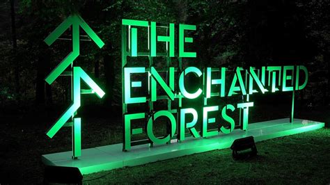 The Enchanted Forest 2022 Show Together In Faskally Wood Near