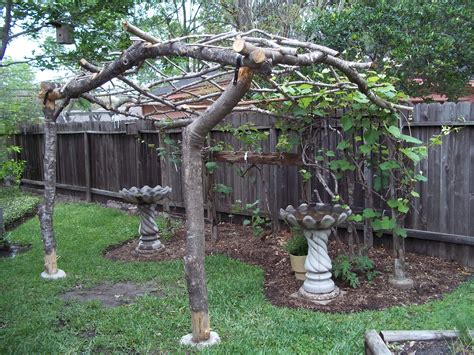 See more ideas about grape trellis, trellis, grape vine trellis. Grape vine arbor made with reclaimed limbs from the front yard. | Diy garden trellis, Grape ...