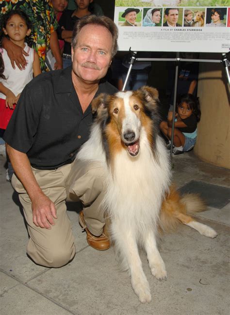 Jon Provost Who Played Little Timmy In Lassie Was Lucky To Escape