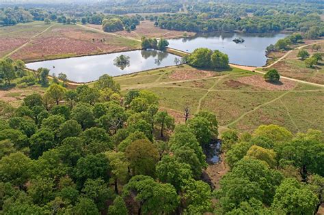 The Royal Parks To Create New Woodland In Richmond Park To Mark Queens