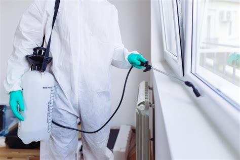 How often do inspections need to be carried out? Pest Prevention: How Often Should You Treat Your Home for ...