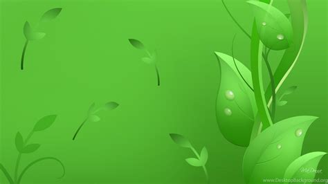 Green Leaf Wallpaper Hd 70 Images
