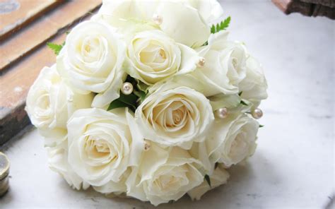 White Roses Wallpaper Wallpaper High Definition High Quality