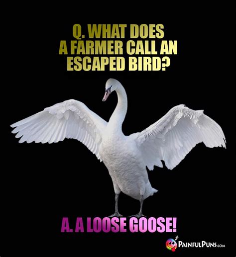 Goose Jokes Gosling Puns Gander Humor 2 Painf