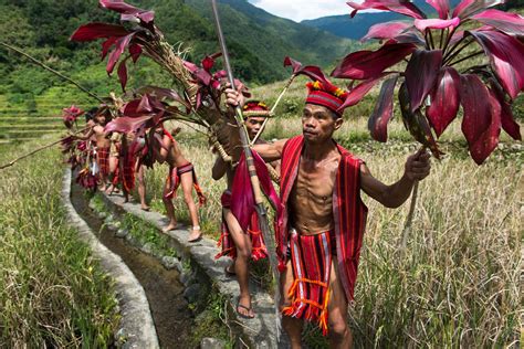 punnuk rice harvest ritual celebrates the earth s abundance sinchi foundation