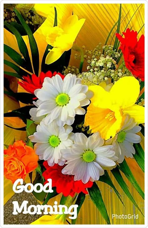 We did not find results for: Pin by Narendra Pal Singh on good morning (With images ...