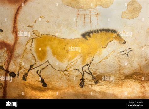 Prehistoric Cave Paintings Of Wild Horse Dun Horse Lascaux Iv Caves