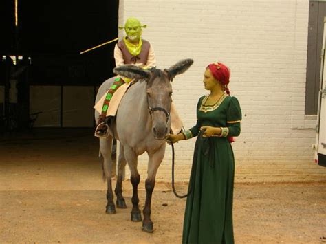 Horse Fancy Dress Ideas Shrek Fiona And Of Course Donkey