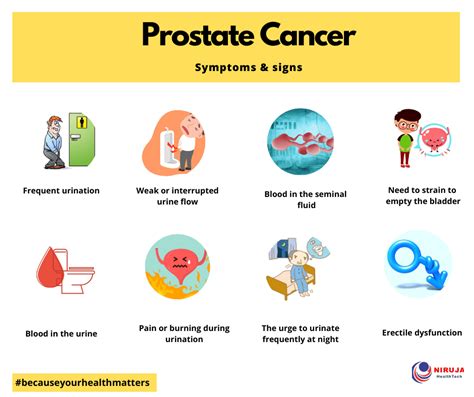What Are The 5 Warning Signs Of Prostate Cancer Prostate Cancer
