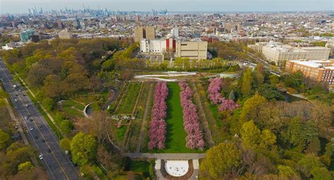 We deliver best chinese food to the neighborhood,you can expect to served fresh flavorful entrees ,appetizers and soups at every meal. A Soothing Tour Of The Brooklyn Botanic Garden's Cherry ...