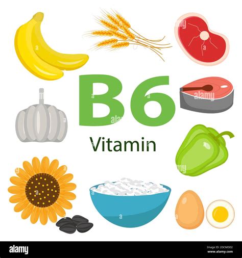 Vitaminas Y Minerales Alimentos Conjunto Ilustrador Conjunto