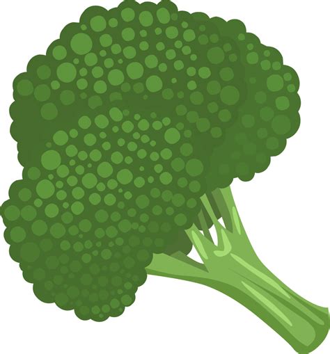 Broccoli Png Transparent Image Download Size 958x1029px
