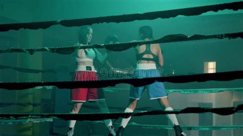 Two Female Boxers Training In Boxing Gym Together Stock Video Video