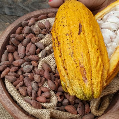 Maui Chocolate & Coffee Tours - Kula - Maui Chocolate & Coffee Tours