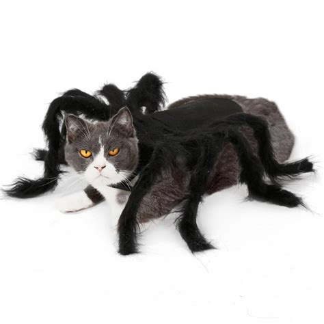 Halloween Carnival Pet Spider Clothes Festival Decoration For Dogs And