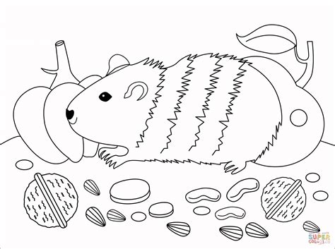 Wenn kinder meerschweinchen herumschleppen, halten diese wunderbar still. Guinea Pig coloring page | Free Printable Coloring Pages