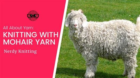 What You Need To Know About Knitting Mohair Yarn Tonia Knits