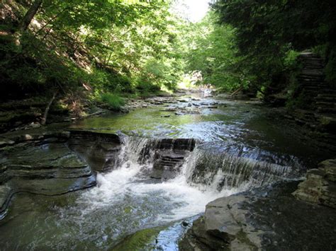 Stony Brook State Park Dansville 2019 All You Need To Know Before