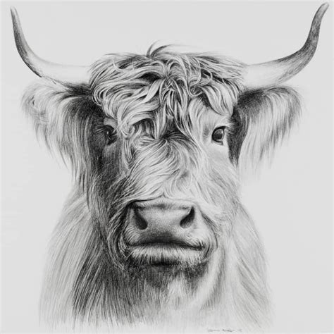 How To Draw Animals 60 Easy Pencil Drawings Of Animals