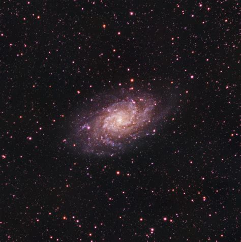 M33 The Triangulum Galaxy Qswat72 Flickr