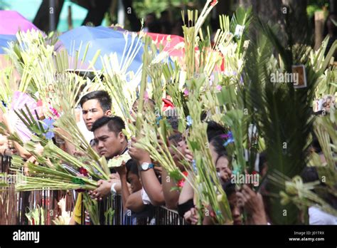 Filipino Catholics Hold Palm Fronds During The Palm Sunday Celebration