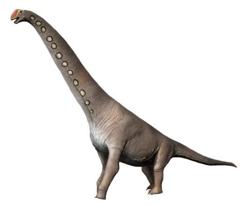 Long Neck Dinosaurs Names And Characteristics Science Trends 2023