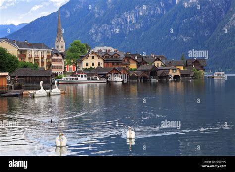 Hallstatt Village And Swans Reflections Into The Lake Austria Stock