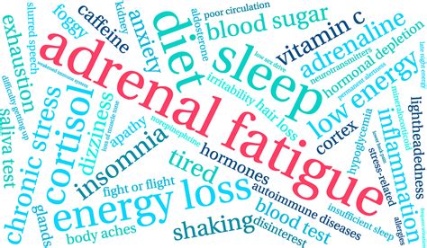 The Four Stages Of Adrenal Fatigue Total Health Chiropractic Cleveland Blog