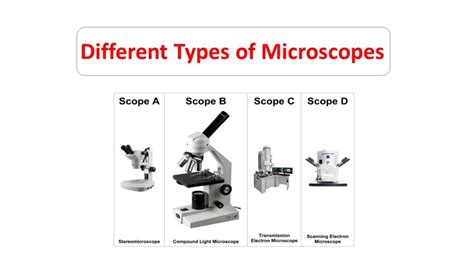 Types Of Electron Microscope Microbiology Notes