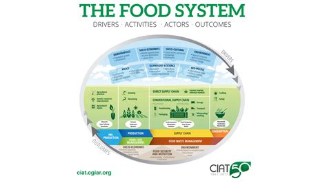 Food System Components Diagram