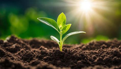 The Journey of Personal Growth and Development