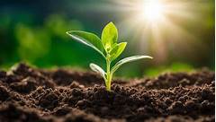 Jessica Pawlak Cts Blueprint For Personal Growth Lessons Learned From A Journey