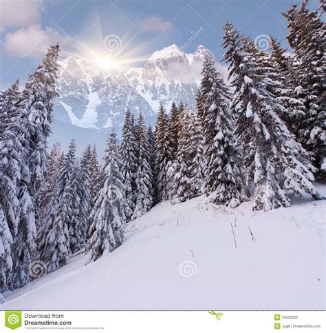 Beautiful Winter Landscape In High Mountains Stock