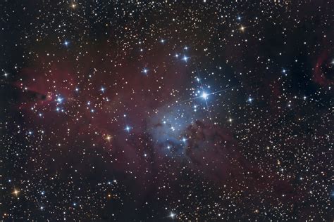 Ngc2264 Cone Nebula Astrophotography By Galacticsights