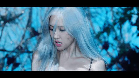 He's always excited for his walks. MV 'How You Like That' của BLACKPINK và những cảnh ẩn dụ ...