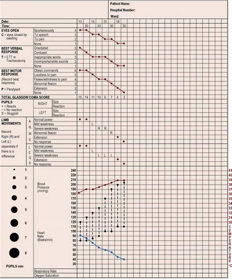 Download Hospital Observation Chart Gantt Chart Excel Template